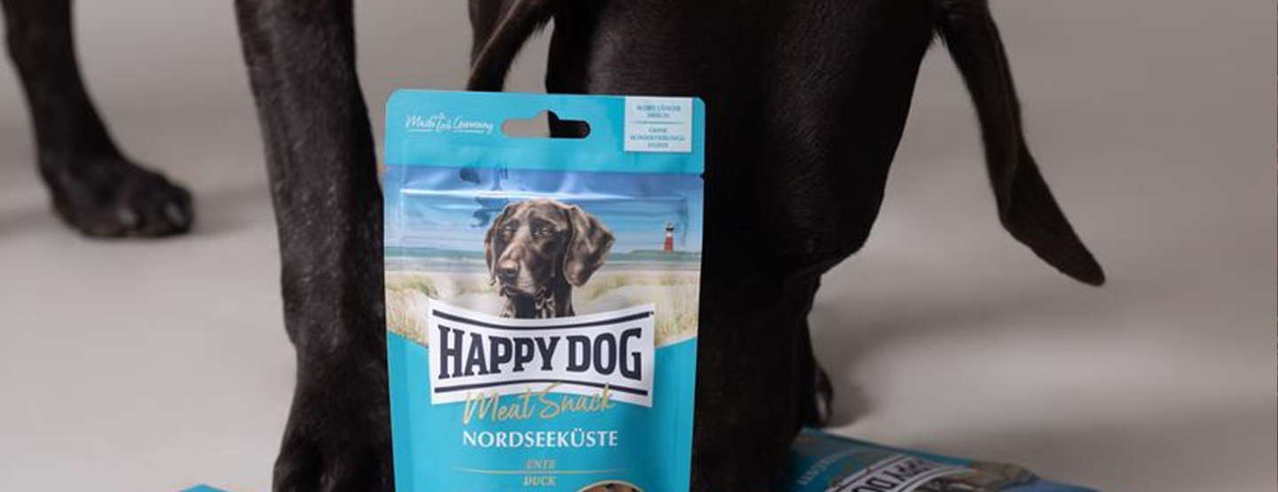 Happy Dog helpt Mechelse asielhonden met kerstmarkt in Antwerpen