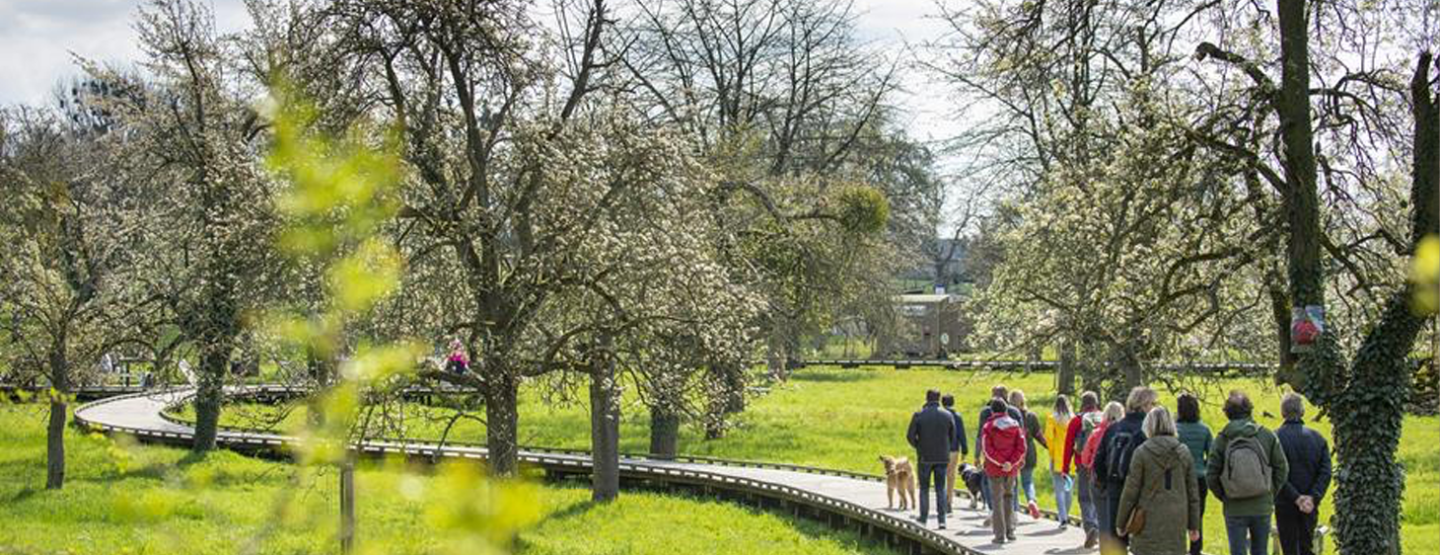 Bloesems in Bilzen-Hoeselt: meer dan 30 redenen om deze lente langs te komen