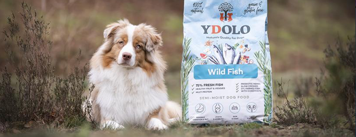 YDOLO revolutioneert hondenvoeding met gloednieuw productieproces en unieke samenstelling: "kwaliteit wint altijd!"