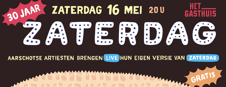 Van jazz-pianiste tot metalband: maak kennis met de 9 artiesten die &lsquo;Zaterdag&rsquo; in een nieuw jasje staken!
