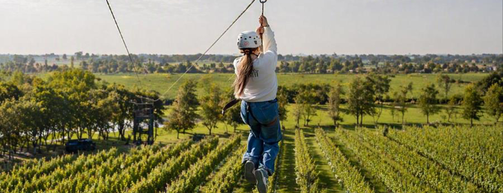 Zip & Sip brengt spectaculair avontuur naar wijndomein Vin de Goffin in Bilzen-Hoeselt
